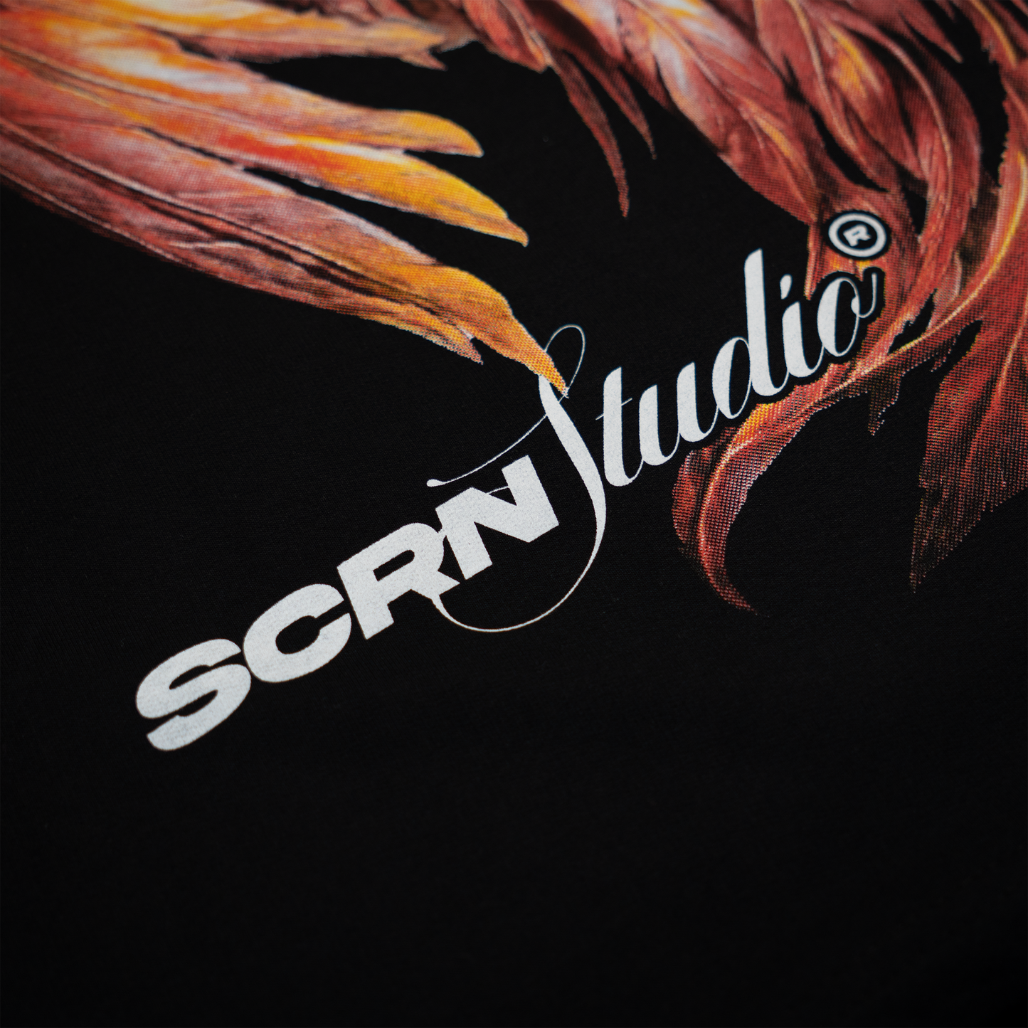 Ash Ascendant T-Shirt (Oversized, Hand Screen Printed)